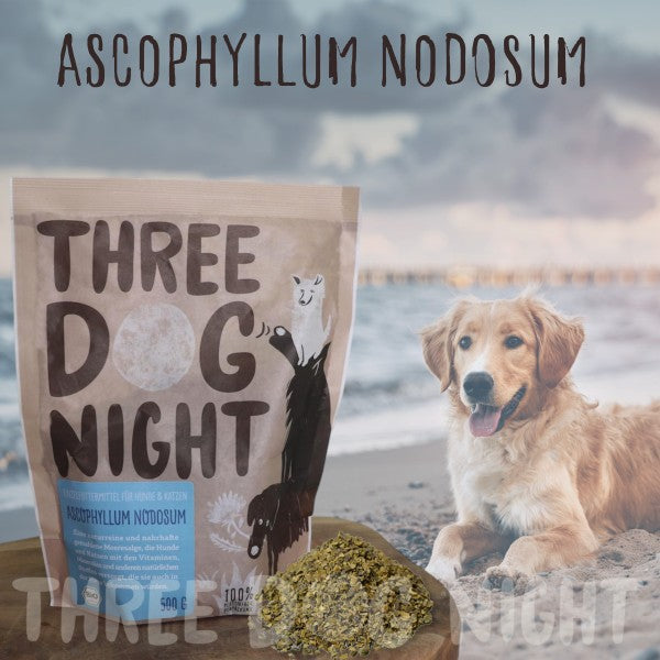 DHN®Bio-Seealgenmehl Ascophyllum Nodosum 500 g
