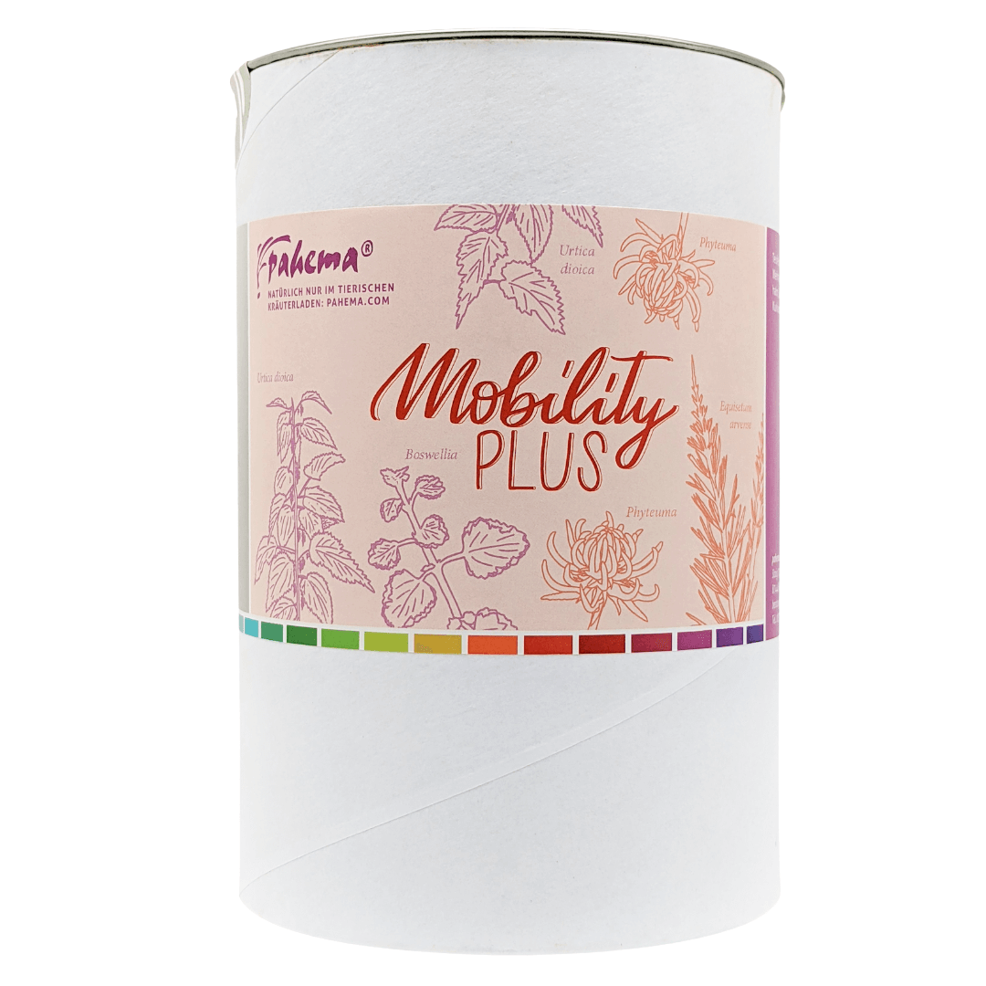 Mobility Plus-200 g