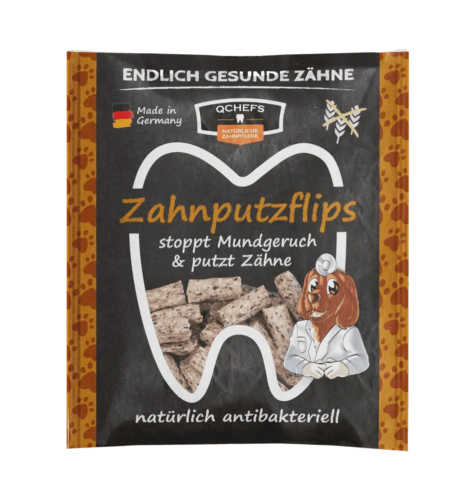 Zahnputzflips HUND 35 g